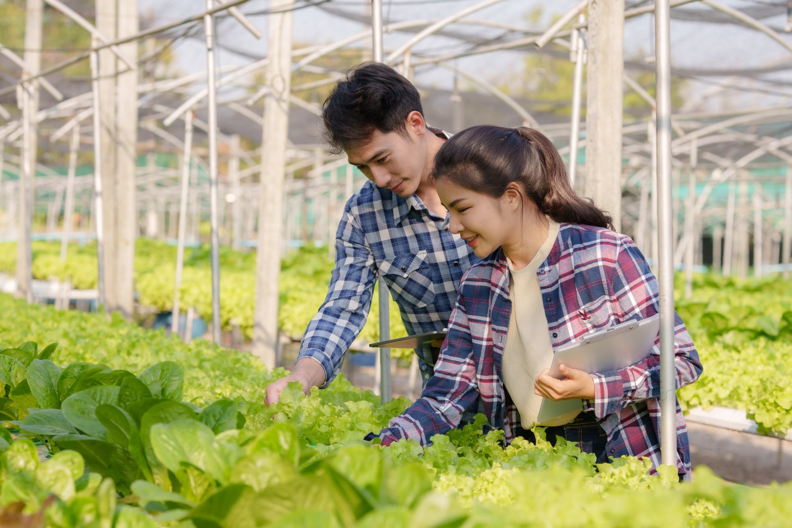 productos especializados