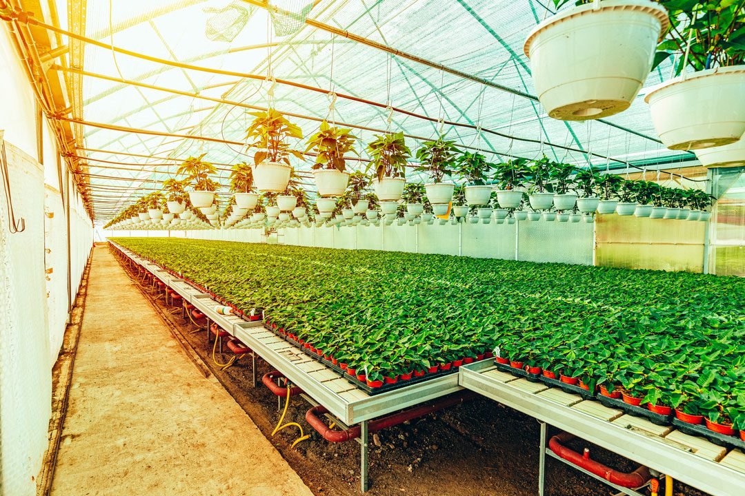 soluciones para el agro